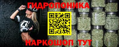 шишки Севастополь