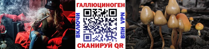 Псилоцибиновые грибы Cubensis  Самара 